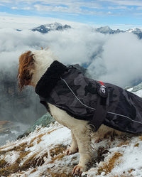 Dog sitting on a hill in front of mountains, wearing Black Camo dryrobe® Dog