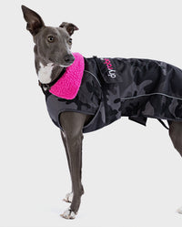 Grey whippet wearing Black Camo Pink dryrobe® Dog 