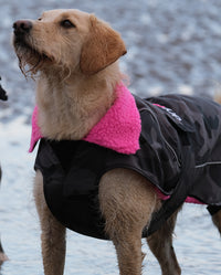 Labradoodle stood in the snow, wearing Black Camo Pink dryrobe® Dog
