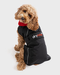 Cockapoo sitting facing the camera, wearing Black Red dryrobe® Dog