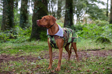 Dryrobe® Waterproof Dog Coats