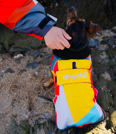 A small black and tan dog wearing a colorful Dryrobe dog jacket on a rocky beach, with a person's hand gently stroking the dog's head.