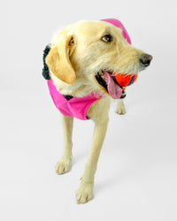 Pink Black Dog Coat