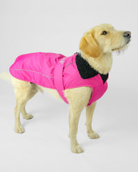 Pink Black Dog Coat