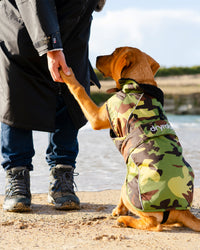 Dog wearing camo black Dogrobe holding its paw up on beach with owners