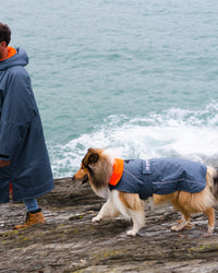 Dog wearing grey orange Dogrobe walking with owner by the sea
