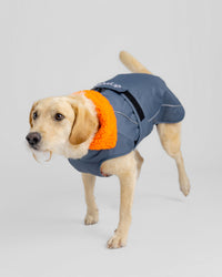 Dark Grey Orange Dog Coat