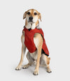 dryrobe Pour chiens
