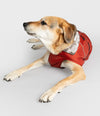 dryrobe Pour chiens