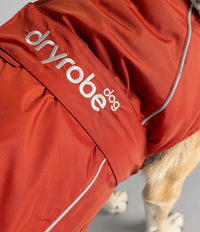 Close-up of a dog wearing a rust-orange waterproof coat with white piping and the brand name 'dryrobe dog' printed in white on the side.