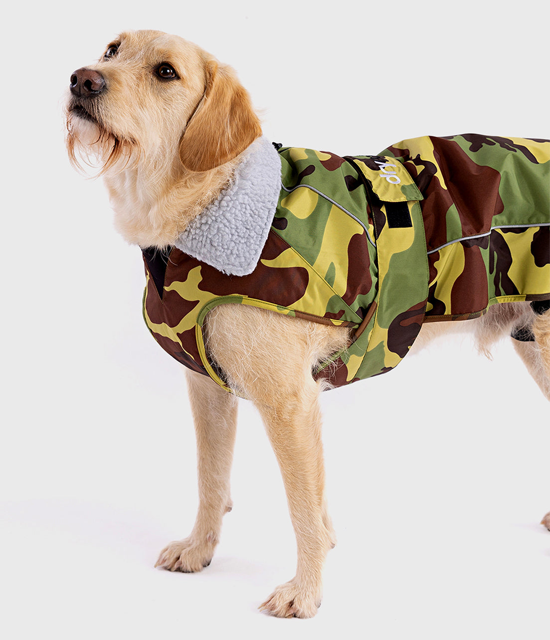 Waterproof Dog Jackets - dryrobe® Dog