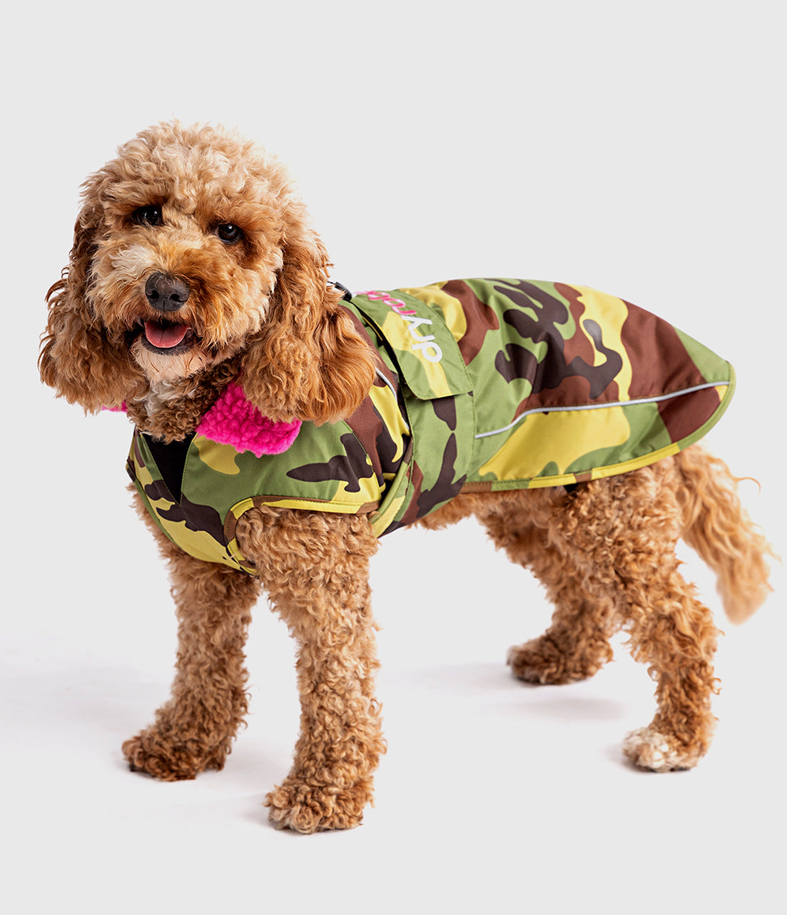 Waterproof Dog Jackets - dryrobe® Dog