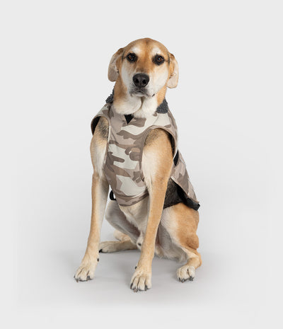 A tan and white dog sitting on a light gray studio background, wearing a sleeveless camouflage dog coat with a dark gray inner lining.