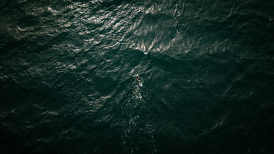 Ross Edgley Swimming in open water