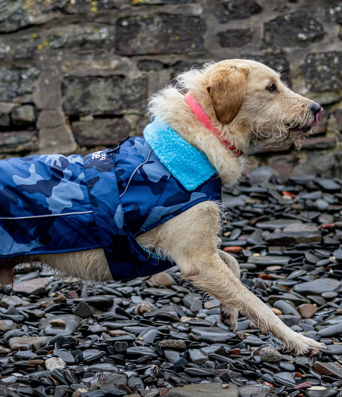 Dog In A Robe New In – dryrobe