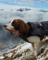 Dog sitting on a hill in front of mountains, wearing Black Camo dryrobe® Dog