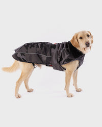 Labradoodle standing wearing Black Camo dryrobe® Dog