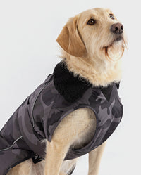 Labradoodle sitting wearing Black Camo dryrobe® Dog