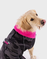 Labradoodle sitting wearing Black Camo Pink dryrobe® Dog 
