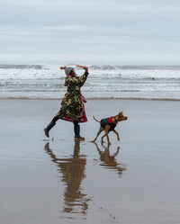 Woman throwing ball for dog on a beach