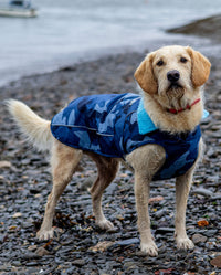 dryrobe® Dog