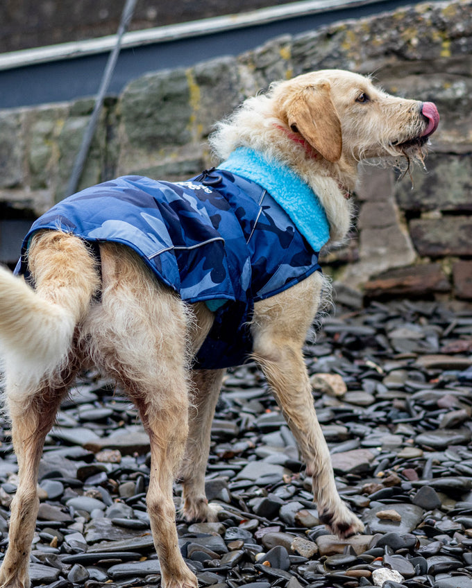 Blue Camo Dog Coat | Dryrobe®