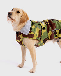 Labradoodle standing wearing Camo Grey dryrobe® Dog