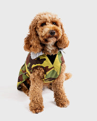 Cockapoo sitting wearing Camo Grey dryrobe® Dog