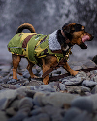 Small dog walking on a beach wearing Camo Grey dryrobe® Dog