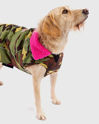 Labradoodle wearing Camo Pink dryrobe® Dog 