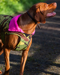 Vizsla wearing Camo Pink dryrobe® Dog
