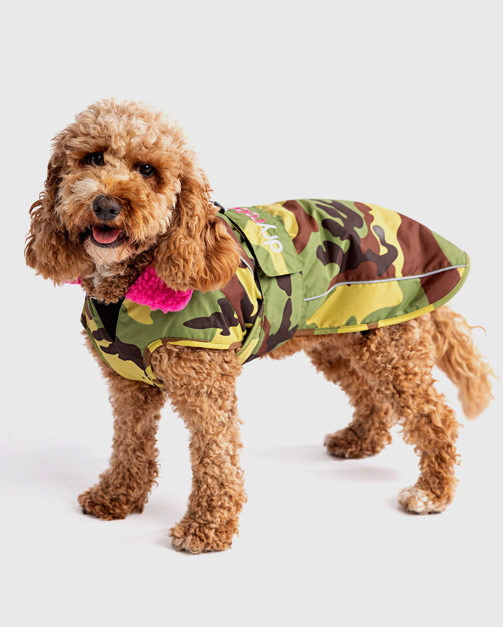 Dog Drying Coats, Robes & Towels dryrobe®