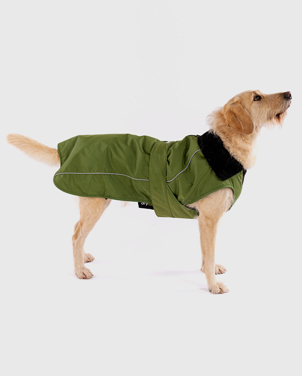 Dog Drying Coats, Robes & Towels dryrobe®