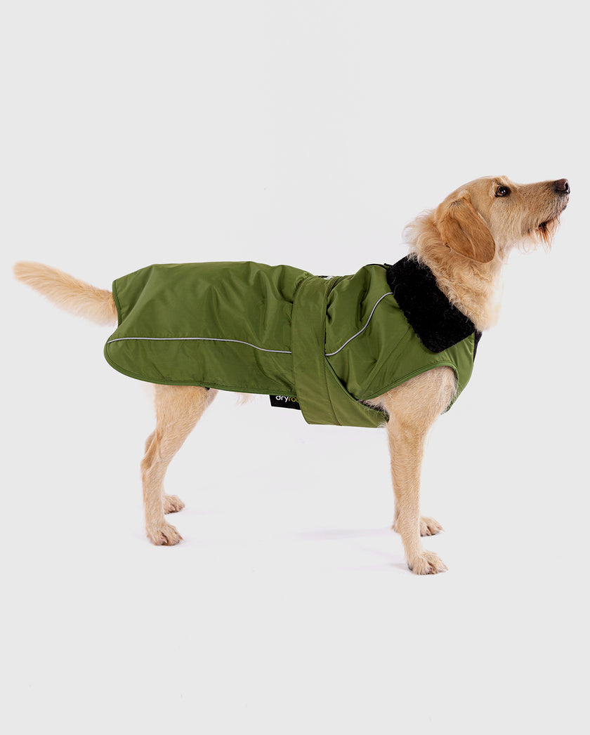 forest-green-black-dog-coat-dryrobe-dryrobe