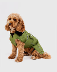 Cockapoo sat facing the camera, wearing Forest Green dryrobe® Dog 