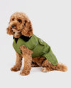 Resale - Forest Green Black Dog Coat XL